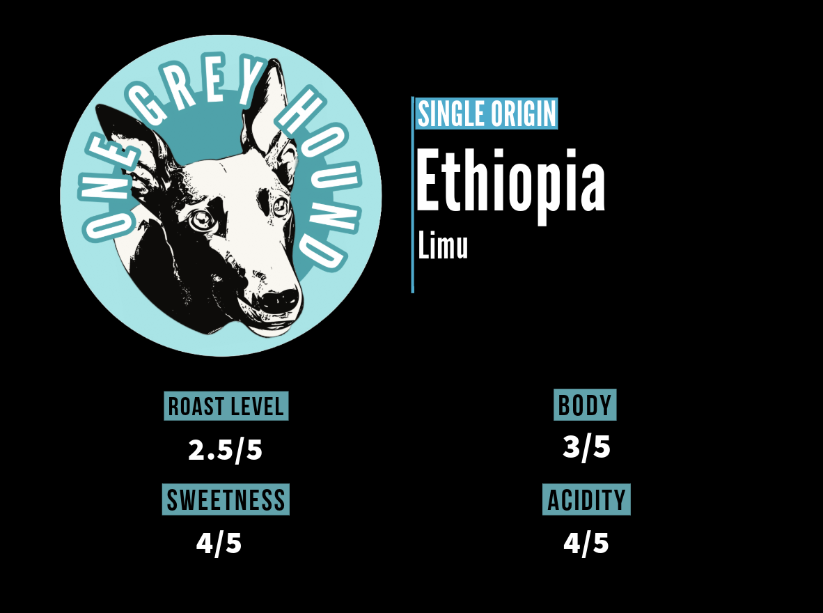 Single Origin: Ethiopia