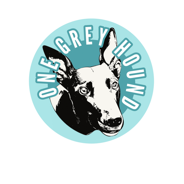 One Grey Hound Specialty Coffee